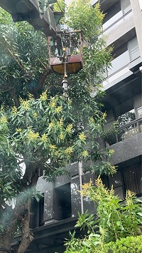 台北市中正區吊車