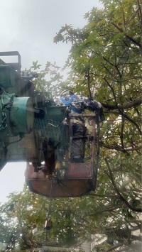 台北市中正區吊車