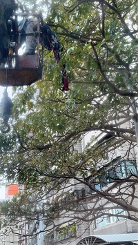 台北市中正區吊車