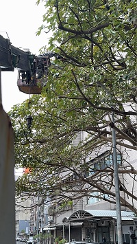 台北市中正區吊車