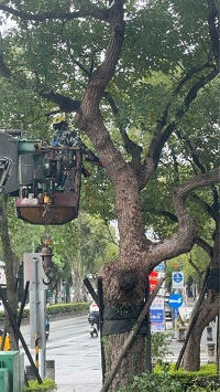 台北市中正區吊車