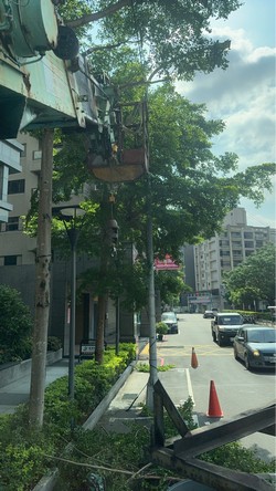 蘆州區吊車