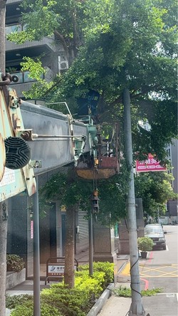 蘆州區吊車