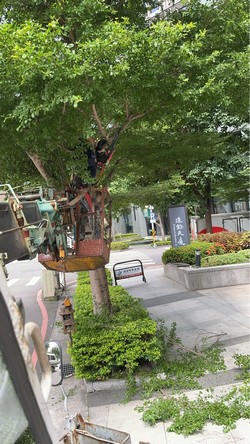 蘆州區吊車