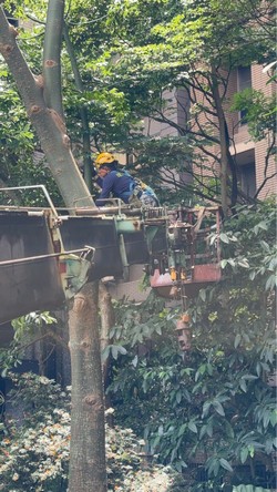 汐止吊車