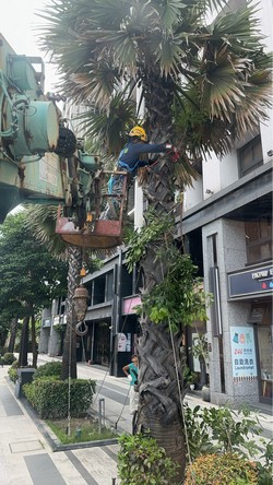 汐止吊車