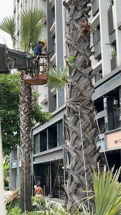 汐止吊車