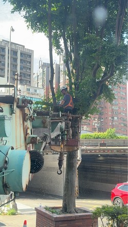 汐止吊車