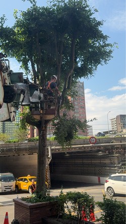 汐止吊車