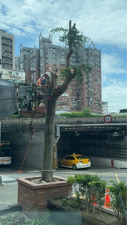 汐止吊車