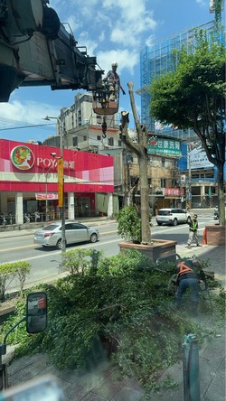 汐止吊車