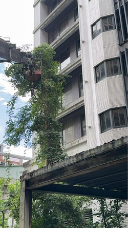 汐止吊車