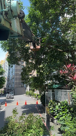 汐止吊車