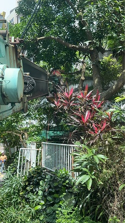 汐止吊車