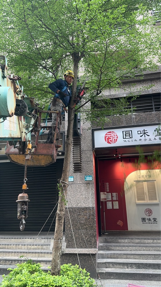 汐止吊車