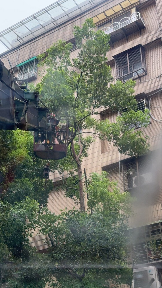 板橋吊車