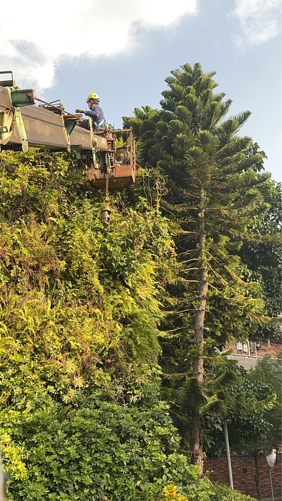 淡水區吊車公司