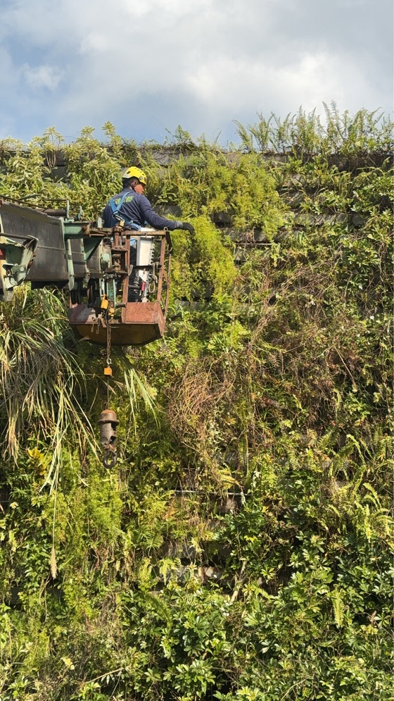 淡水區吊車公司