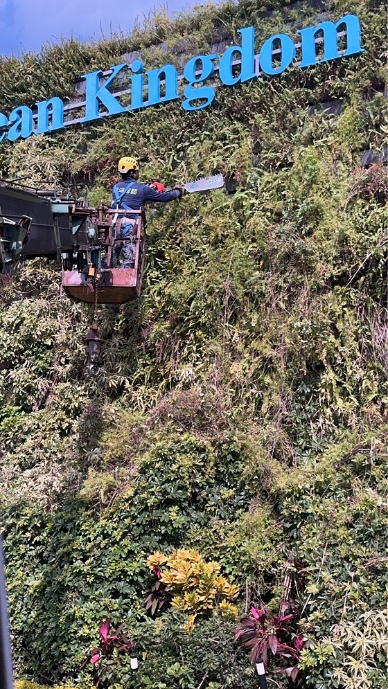 淡水區吊車公司