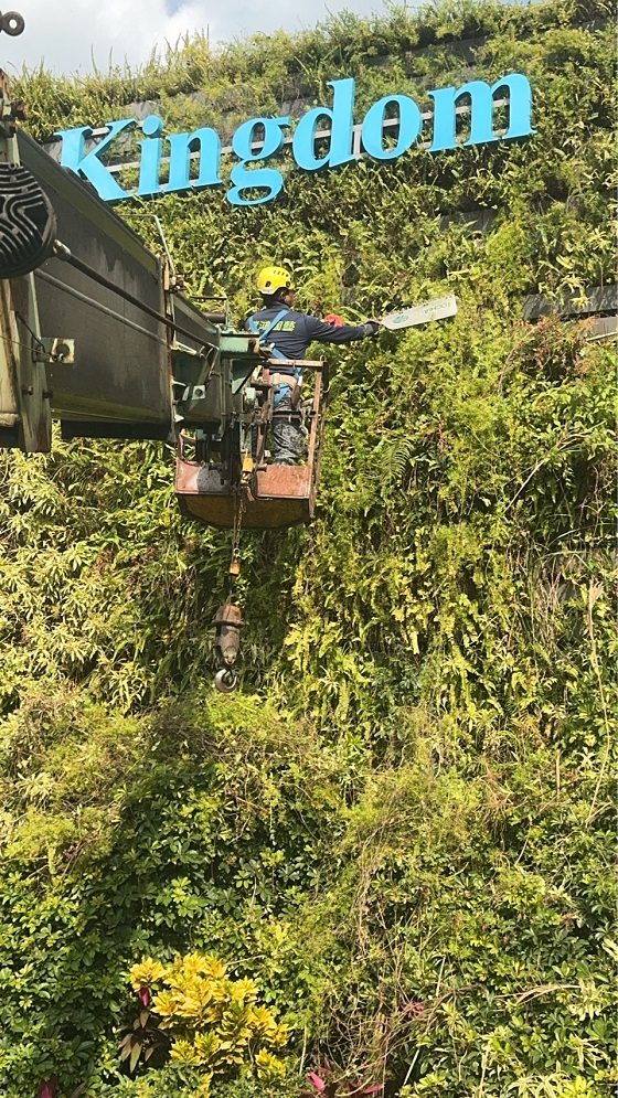 淡水區吊車公司