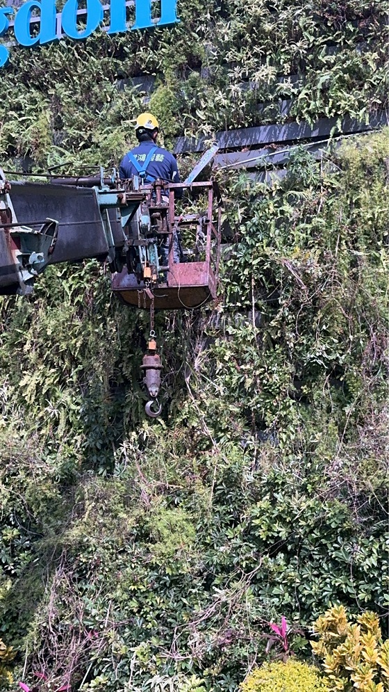 淡水區吊車公司