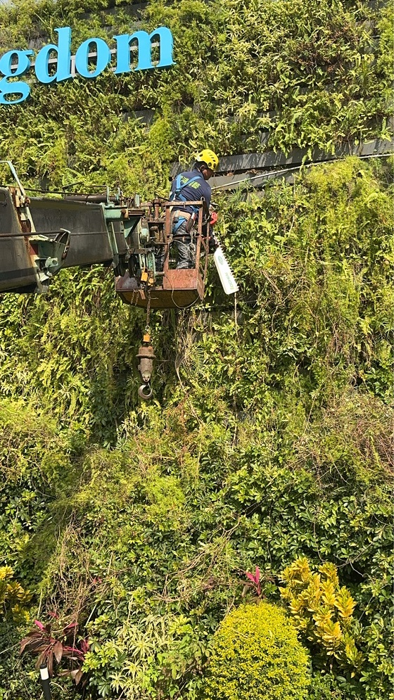 淡水區吊車公司