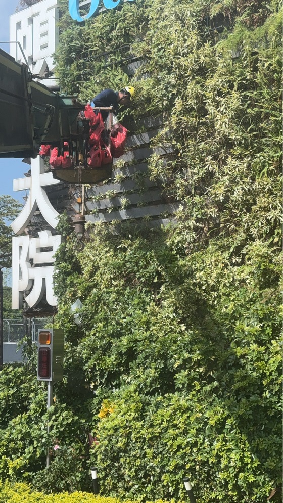 淡水區吊車公司